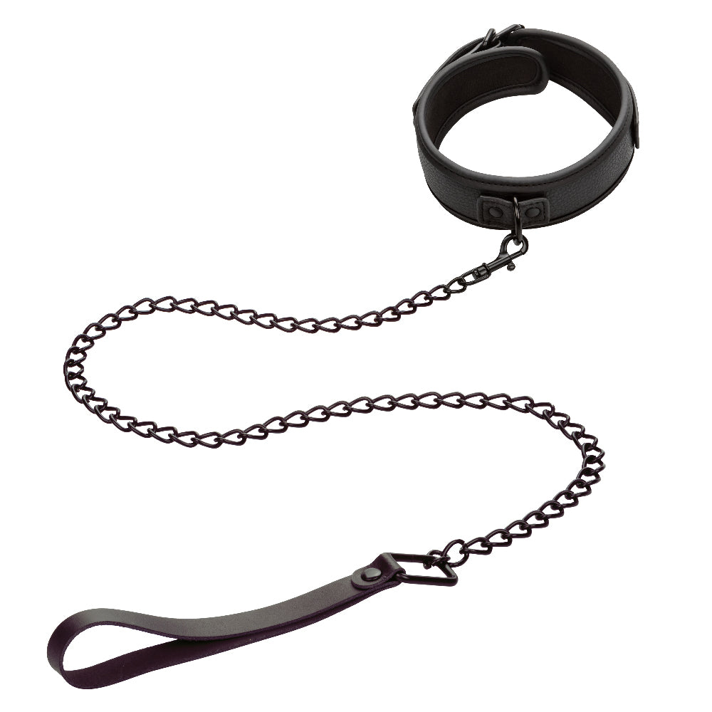 "Nocturnal Collection Collar and Leash - Black SE2678103"