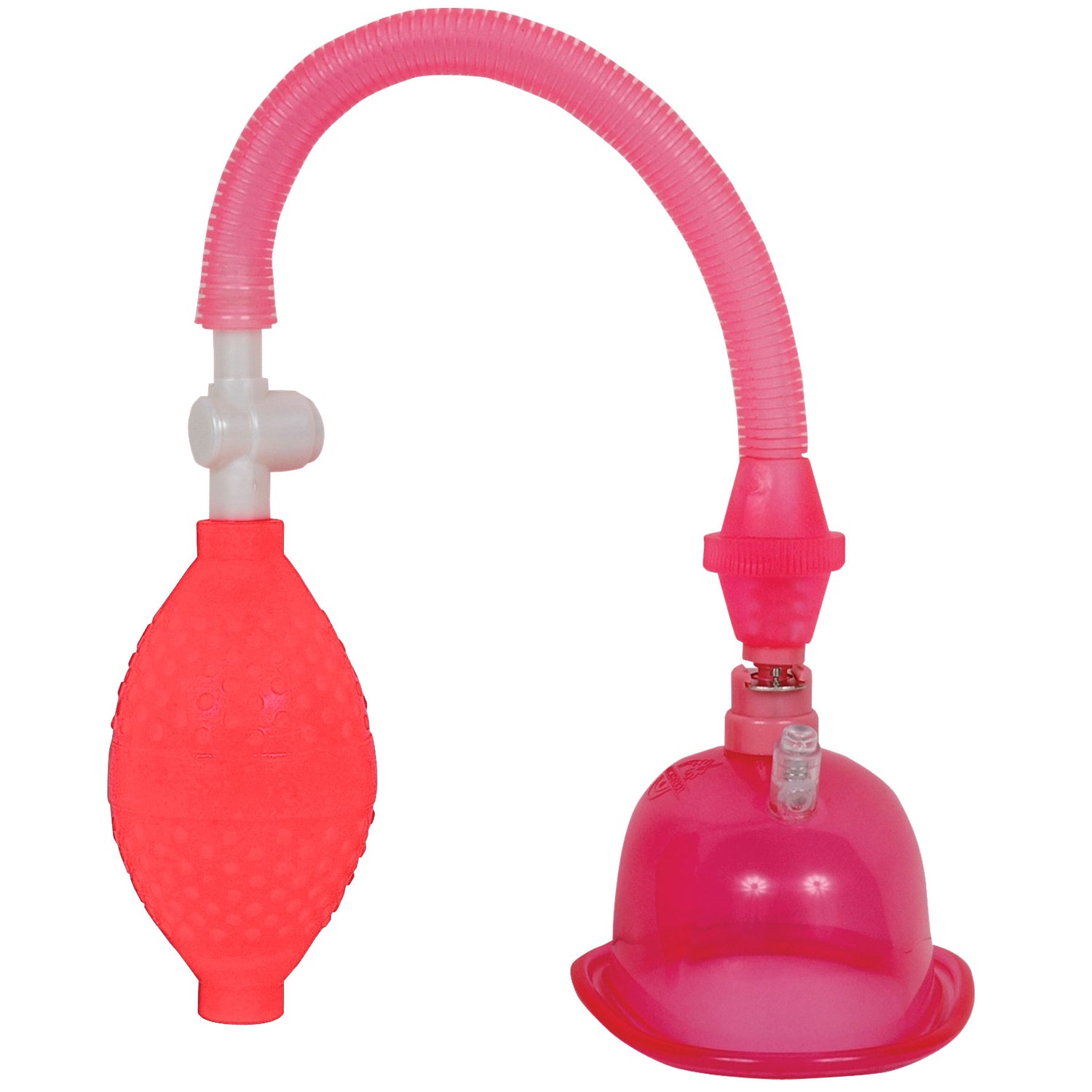 "Pussy Pump in a Bag - Pink DJ5006-02-BG"